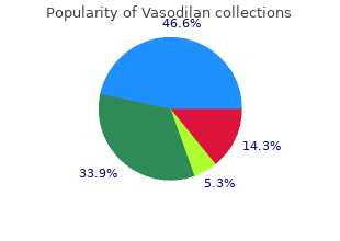 buy 20mg vasodilan amex